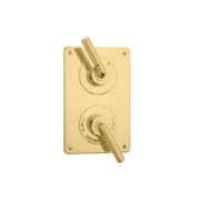 The Bestwood Lever Shower Plate Thermo & On/Off