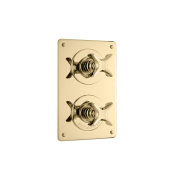 The Hudson X-Head Shower Plate Thermo & 2 Way