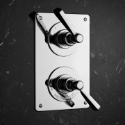 The Hudson Lever Shower Plate Thermo & On/Off