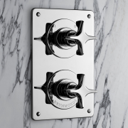 The Hudson X-Head Shower Plate Thermo & On/Off