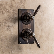The Coll Classic Shower Plate Thermo & 2 Way