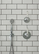 The Grand Hand Shower & Wall Bracket