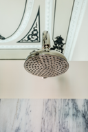 Grand Shower Rose 200mm (8")