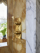 The Leawood Shower Plate Thermo & 2 Way