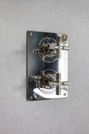 The Bestwood X Head Shower Plate Thermo & 2 Way