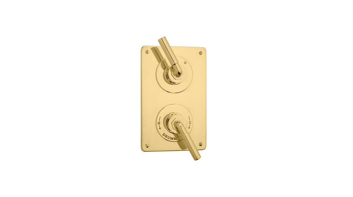 The Bestwood Lever Shower Plate Thermo & On/Off