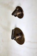 The Bestwood Lever Thermostatic Shower Valve