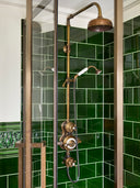 Dalby handshower and On / Off Control