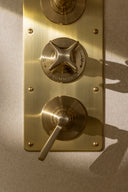 The Hudson Shower Plate Thermo & 2 x On/Off