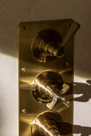 The Hudson Shower Plate Thermo & 2 x On/Off