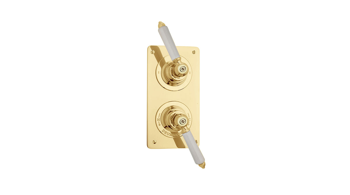 The Chessleton Shower Plate Thermo & 2 Way