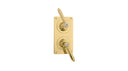 The Chessleton Shower Plate Thermo & 2 Way