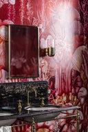 The Clarendon Medicine Cabinet Mirror Designed by Suzy Hoodless