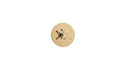The Hudson X-Head Thermostatic Shower Valve