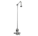 The Dalby Surface Mounted Shower, Straight Arm