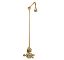 The Dalby Surface Mounted Shower, Straight Arm