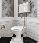The Eden Low Level WC Suite