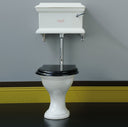 The Eden Low Level WC Suite