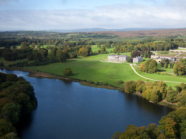 Ballyfin House