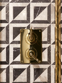 The Leawood Shower Plate Thermo & 2 Way