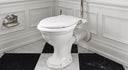 Loo Roll Holder With Backplate