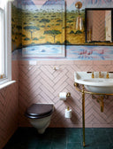 The Rother Wall Mounted WC Pan