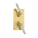 The Chessleton Shower Plate Thermo & On/Off
