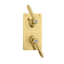 The Chessleton Shower Plate Thermo & 2 Way