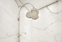 Shamrock Shower Rose