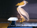 The Spey Cast Iron Bath Tub With Ball & Claw Feet