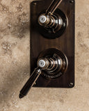 The Coll Classic Shower Plate Thermo & 2 Way
