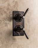 The Coll Classic Shower Plate Thermo & 2 Way