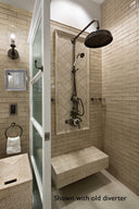 The Dalby Surface Mounted Shower, Straight Arm